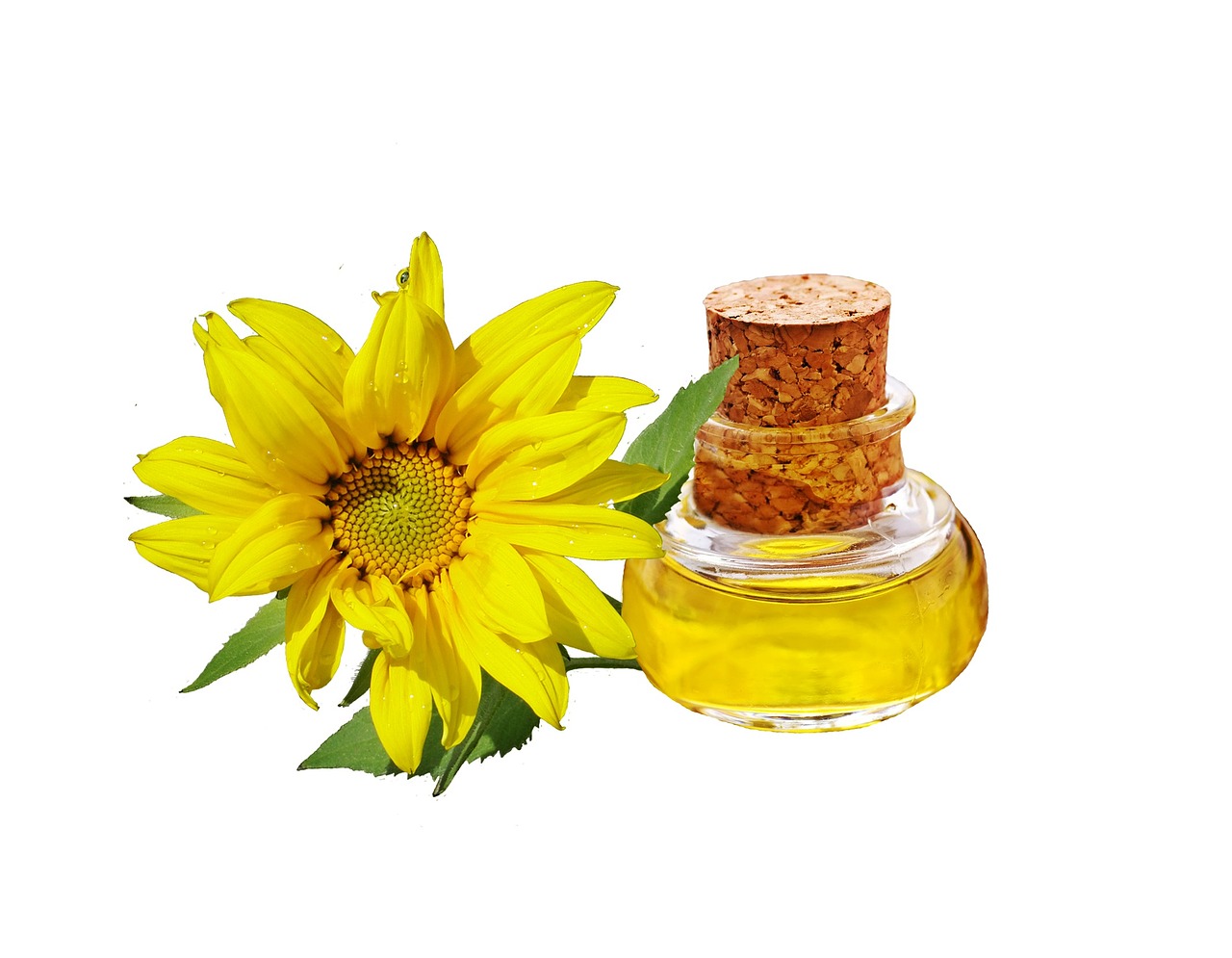 Calendula-oil-benefits-for-skin-abloomnova.net_ Calendula oil benefits for skin and health